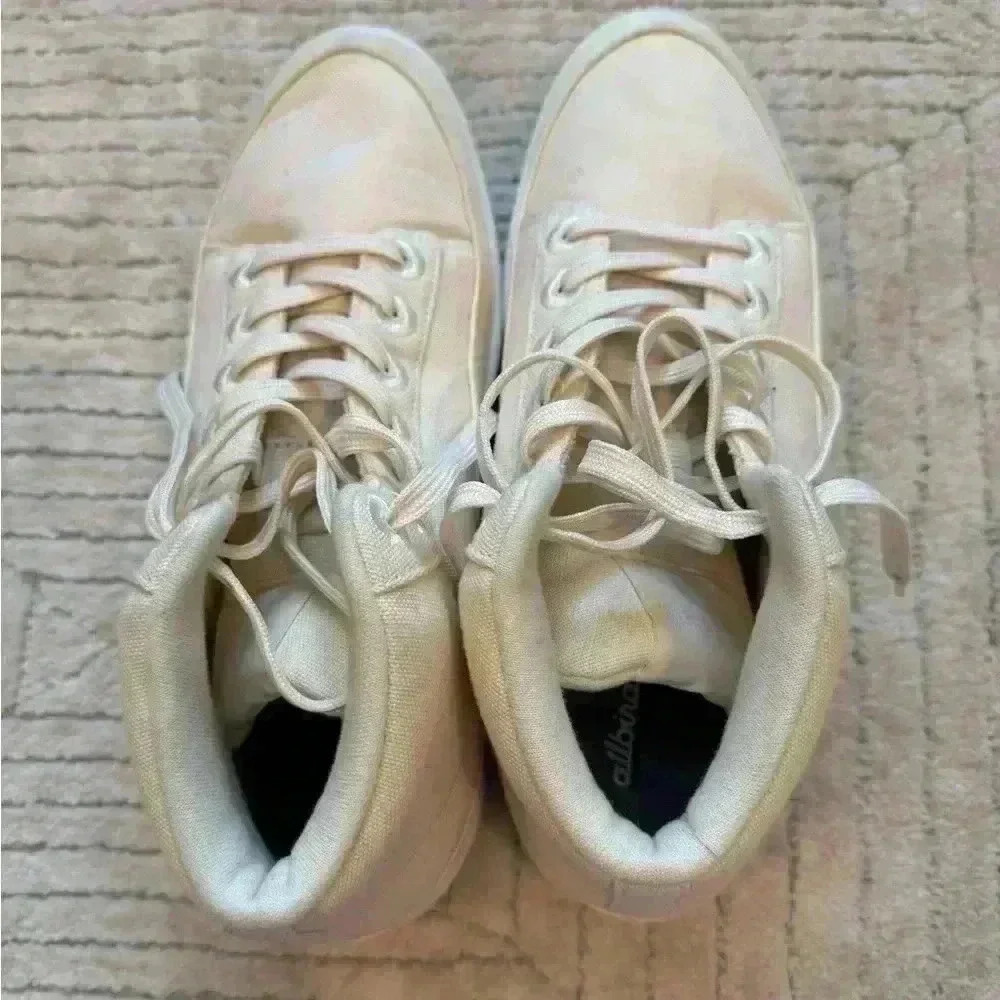 Allbirds high tops